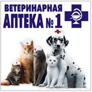 Ветеринарные аптеки Дульдурги